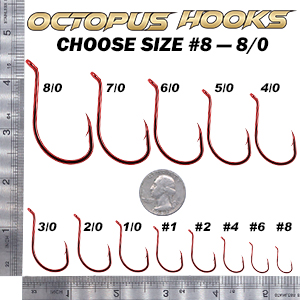 Circle Hooks