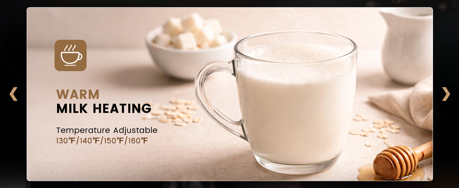 Electric Milk Frother