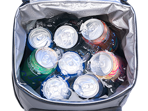 portable lunch cooler bag
