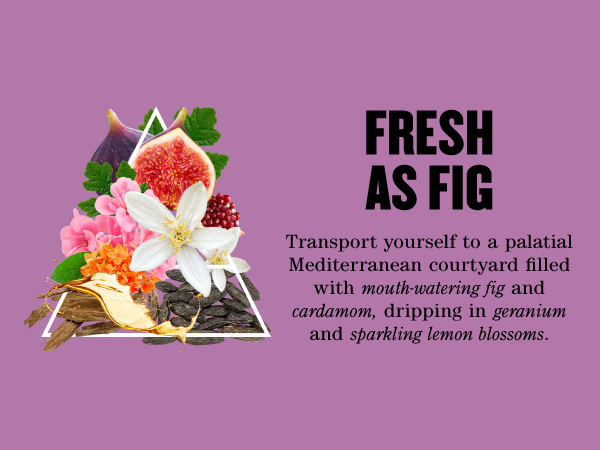 fresh as fig 