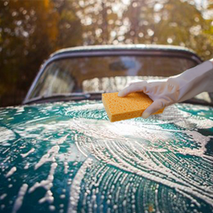 Car Washing Sponges