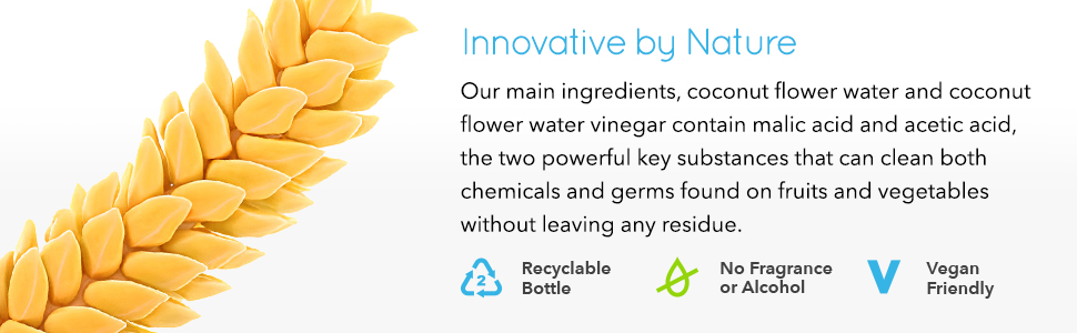 clean both chemicals and germs found on fruits and vegetables without leaving any residue
