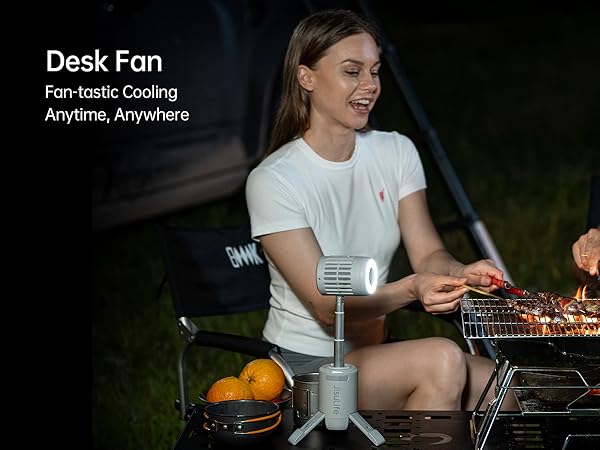 desk fan