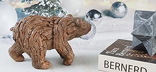 https://m.media-amazon.com/images/S/aplus-media-library-service-media/8cbbaf1a-0bec-4849-802f-6165fcd37034.__CR0,504,3000,1381_PT0_SX315_V1___.jpg
