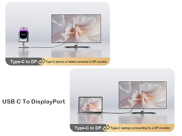 usb to display port