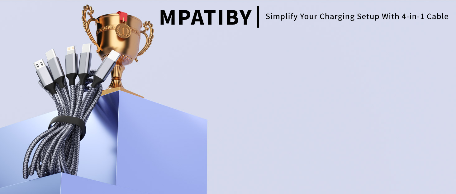 USB C Multi Charging Cable