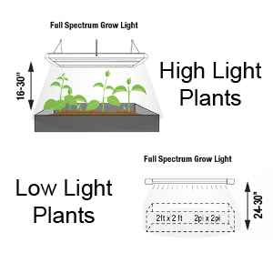 high light plant grow lights and low light plant grow lights