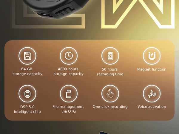 voice recorder with playback