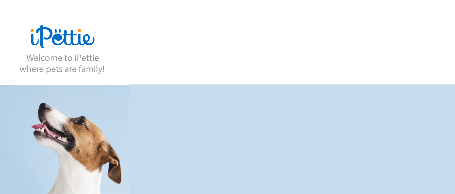 ipettie pet cat dog shop