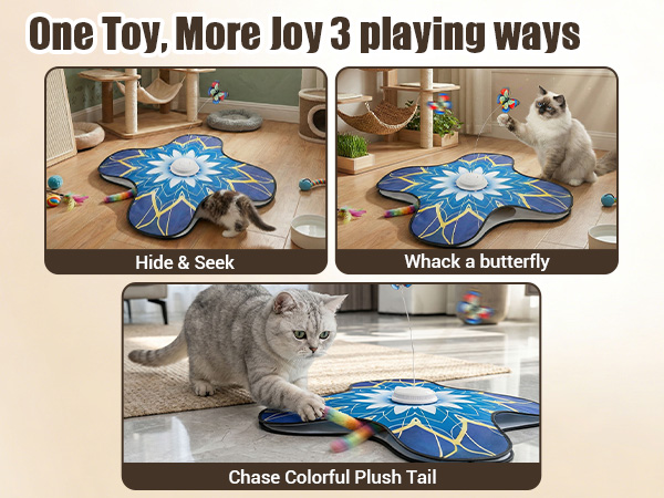 hide and seek cat toys