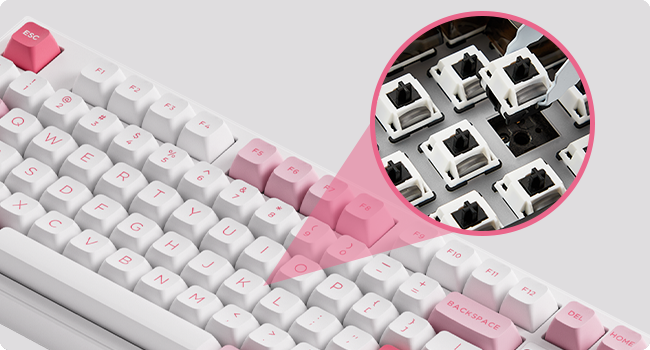 Hotswap-Socket