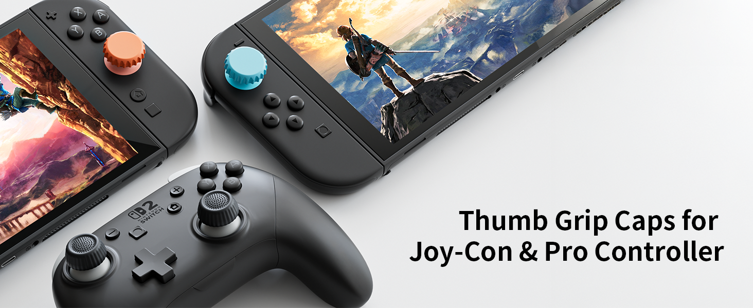SWITCH 2 thumb grips