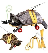 FOWSRHRG Adjustable Tortoise Leash and Funny Skateboard Set with Curly Grass Decor, Harness and T...