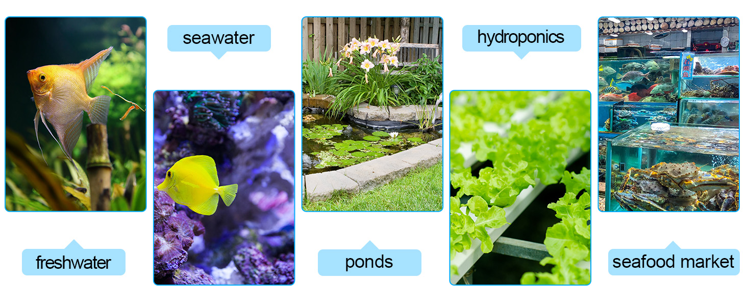 aquarium air pump