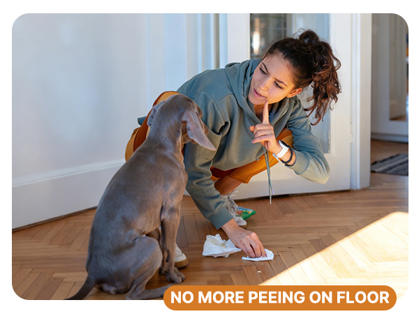 keep your floor clean
