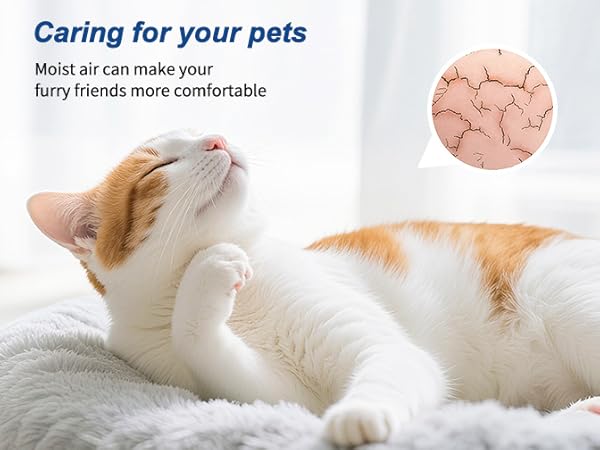 Easy to clean humidifier