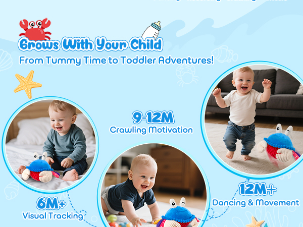 Musical Crawling Crab Plush Toy