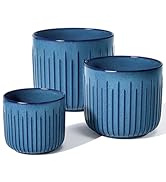 plant pot indoor