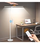 Syrinx LED Floor Lamp, Double Head Gooseneck Floor Lamps for Living Room with Gesture Switch &amp; Re...