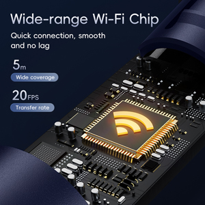 ear cleaner chip