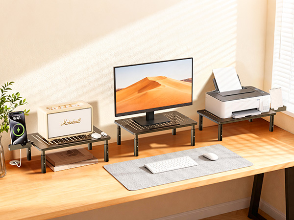 Canyora Computer Monitor Stand Riser with Storage