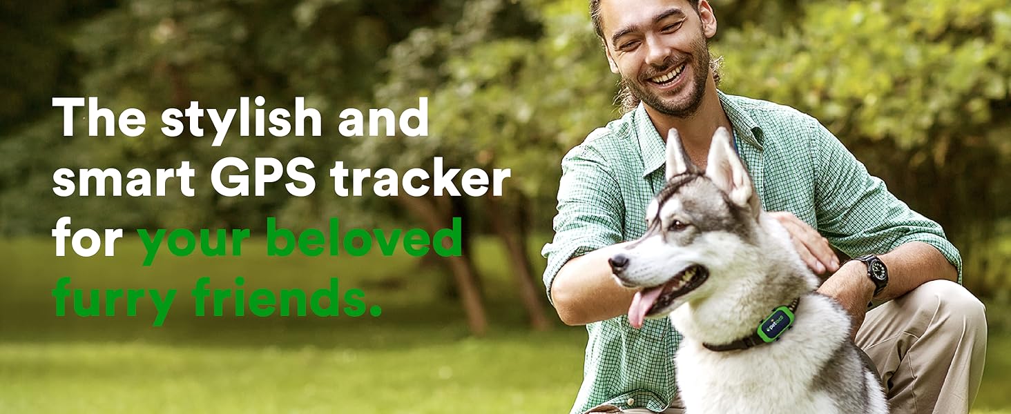 big dog walking walking in the grass with petloc8 gps tracker attached to collar