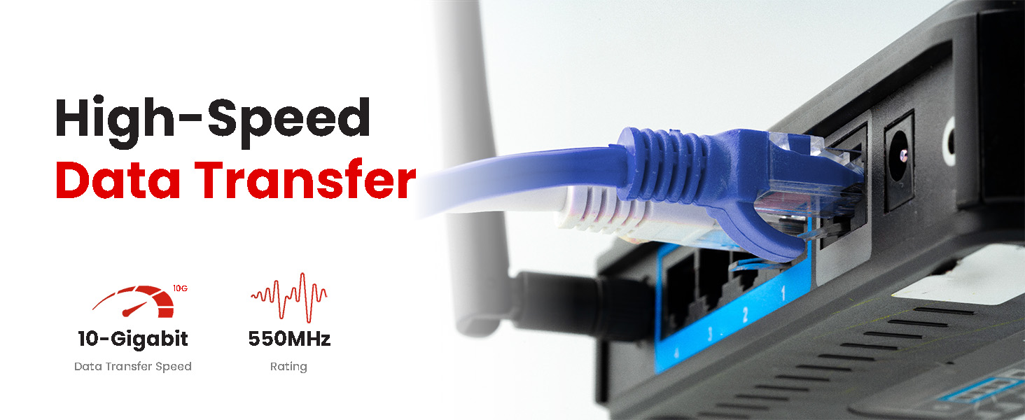 Ethernet Cable 100 FT