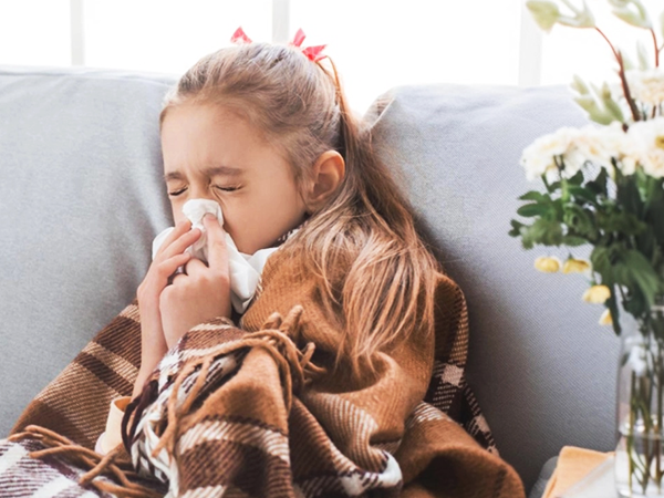 home air purifiers for allergies and dust