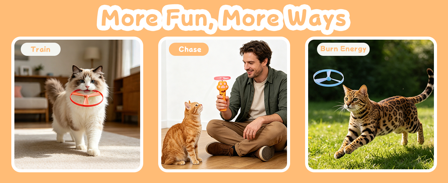 More Fun, More Ways,Cat toys