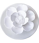 Passive Oil Diffuser for Essential Oil-Non-Electric Porcelain Aromatherapy Diffusers for Small Mi...