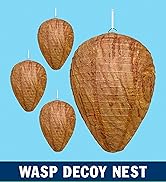4 Pack PESTEZE Hanging Wasp Nest Decoy [11.8 x 8.6 Inch] Deters Several Wasp, Hornet &amp; Yellow Jac...