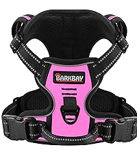 https://m.media-amazon.com/images/S/aplus-media-library-service-media/693b7f72-b74d-44cf-a3d9-44538f69b407.__CR167,0,2667,3000_PT0_SX200_V1___.png