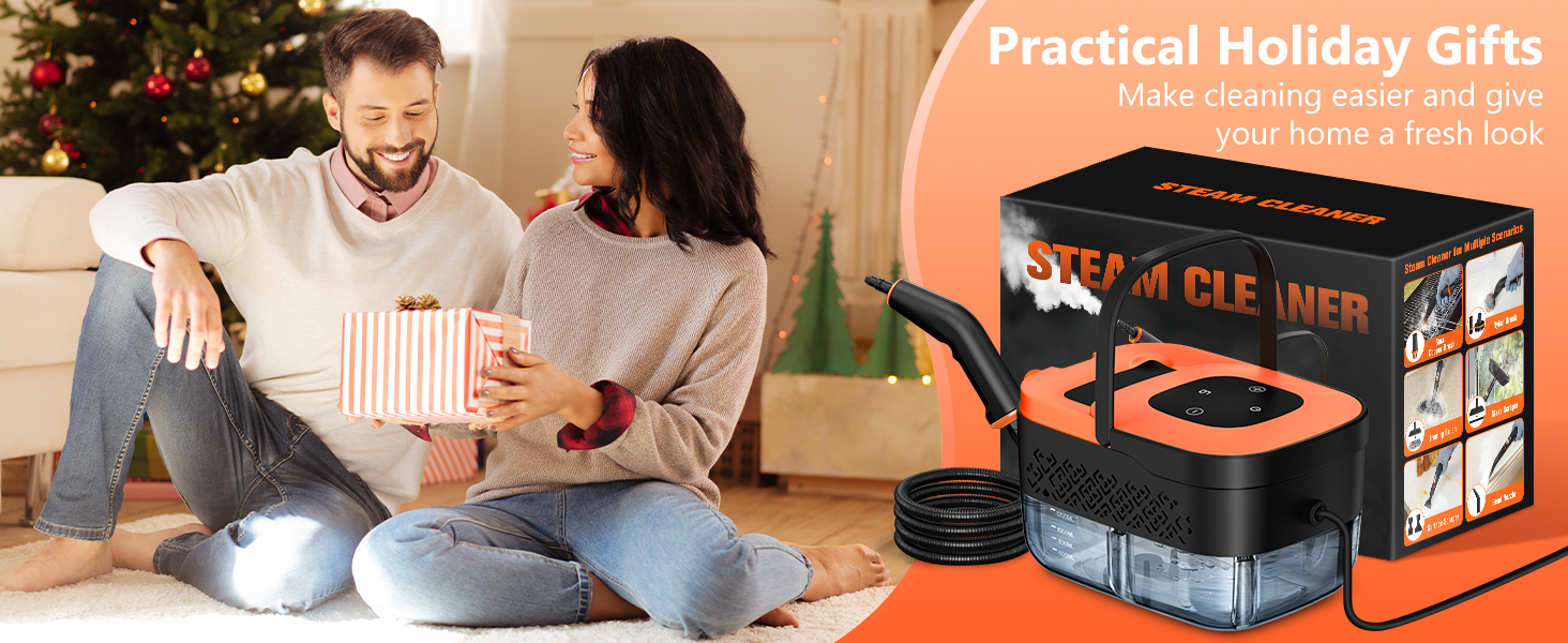 steam cleaner