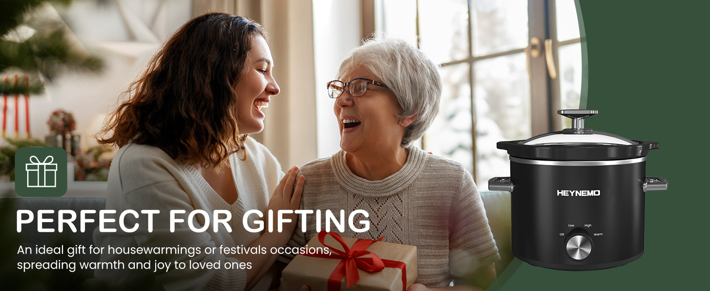 2 QT Small Slow Cooker