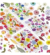 150 Pcs Pressed Flowers Bulk Dried Flower for Crafts, Dried Wildflowers Leave Natural with Tweeze...