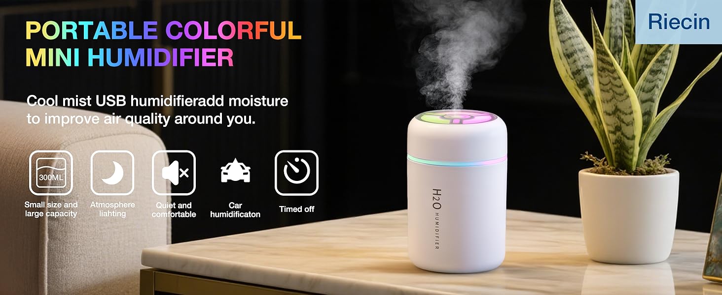Portable Mini Humidifier