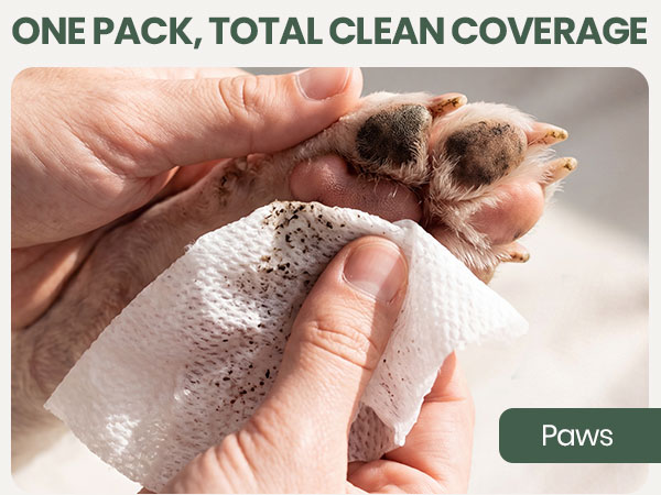 Bark &amp;amp; Clean