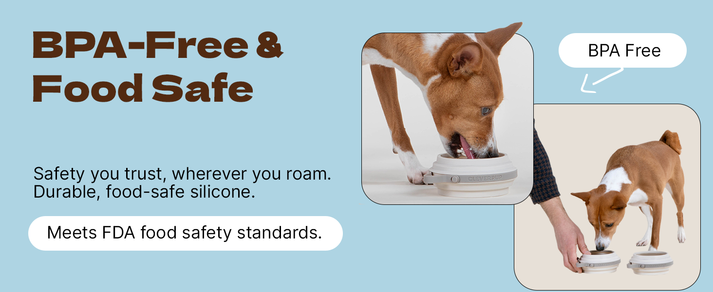 BPA-FREE &amp;amp; Food Safe