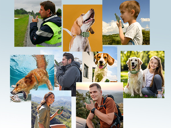 dog training collar
