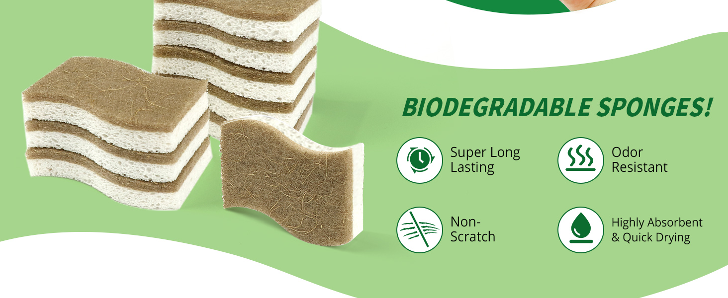 dish sponges