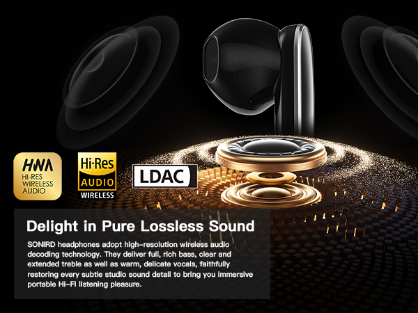 Delight in Pure Lossless Sound