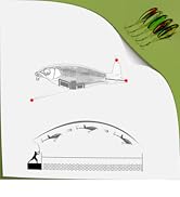 EXAURAFELIS 5pcs Plopper Fishing Lures Topwater Fishing Lures Whopper Floating Lure for Catfish P...
