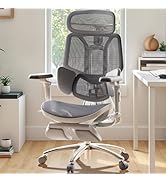 Hbada E3 Ultra Ergonomic Office Chair, Big and Tall Office Chair - with 3-Zone Dynamic Lumbar Sup...