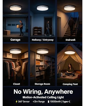 ceiling light rechargeable