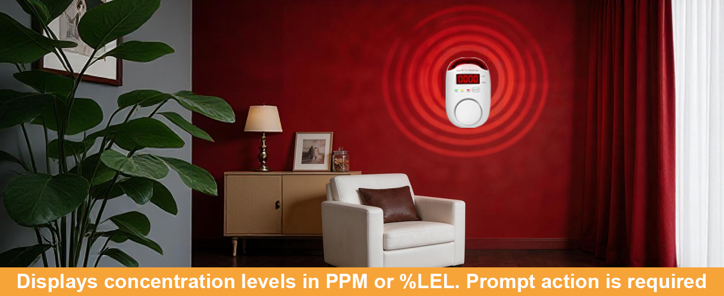 natural gas and carbon monoxide detector