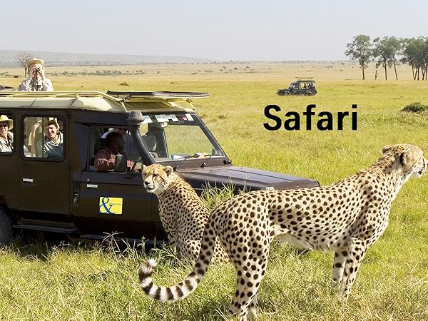 binoculars for safari
