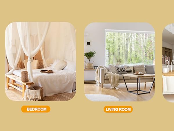 gas and carbon monoxide detector