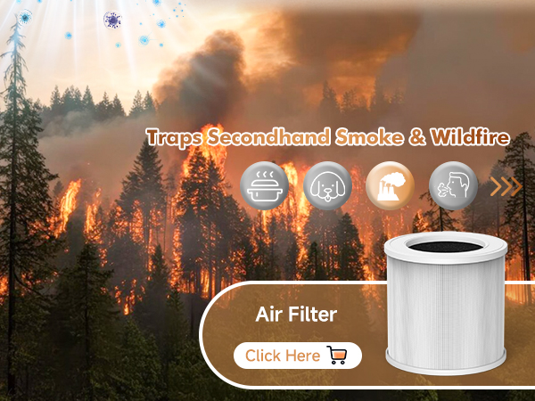 Smoke &amp;amp; Wildfire