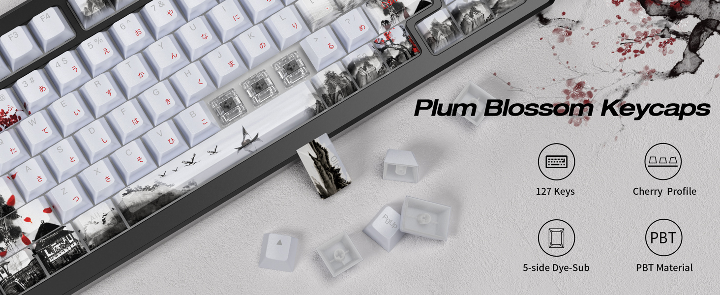 pbt keycaps
