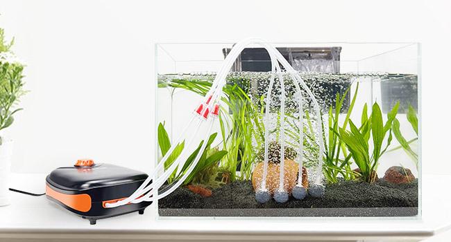 Check valve is needed